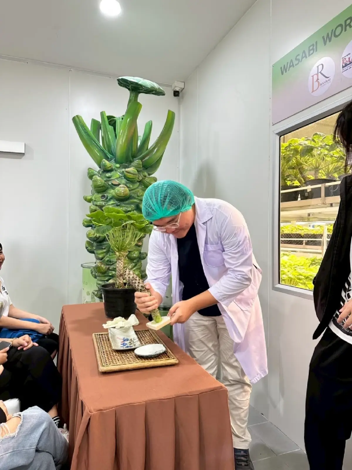 'เพ ลา เพลิน' ท่องเที่ยวเชิงสุขภาพ  เพิ่มมูลค่า 'สมุนไพร' ผุดแล็บวาซาบิ