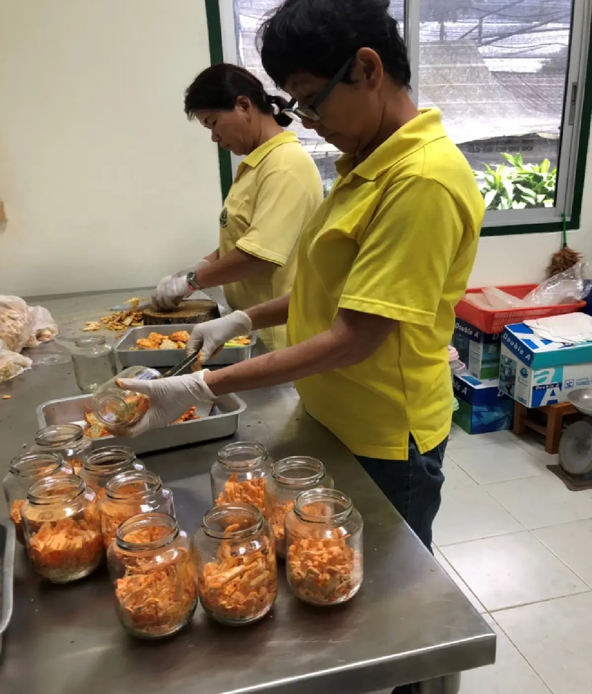 กรมวิชาการเกษตร  โชว์  เทคโนโลยีผลิต 'เห็ดถั่งเช่าสีทอง' คุณภาพสูง