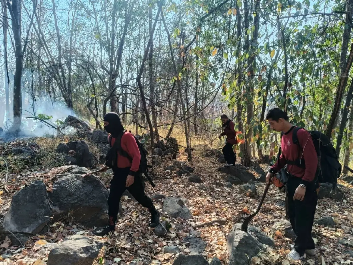 'เสือไฟ' ผนึก 'เหยี่ยวไฟ" ลุยไฟป่าชัยภูมิ 5 จุดรวด! ปกป้องป่าอนุรักษ์