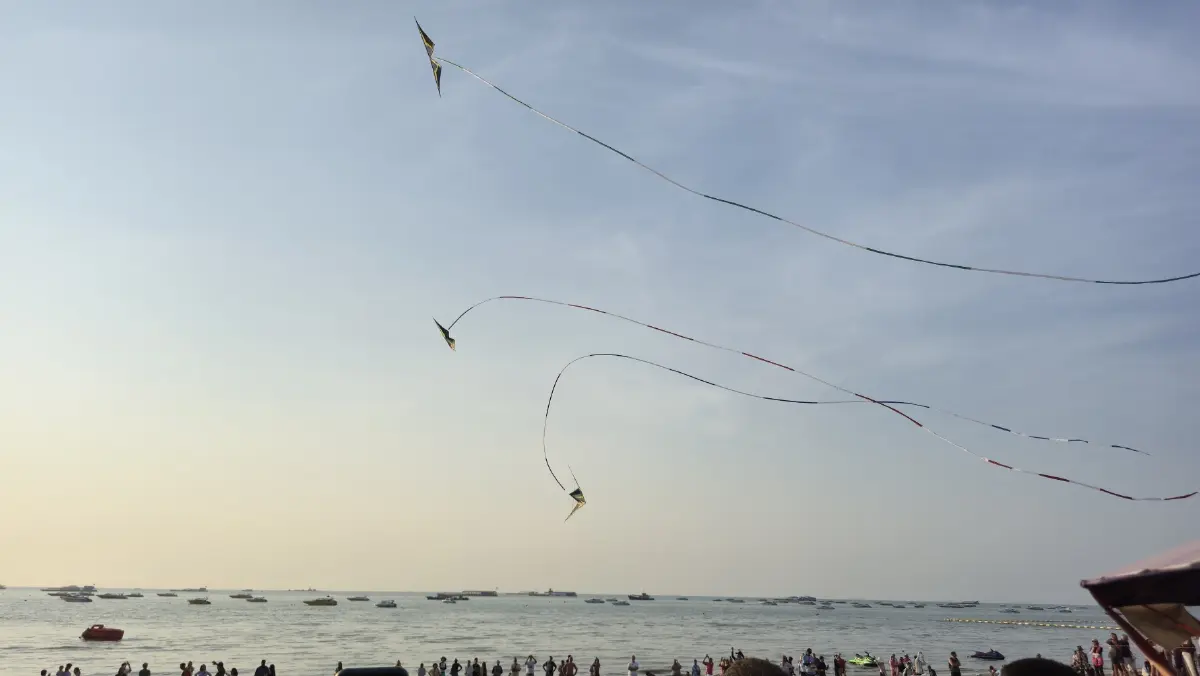 เริ่มแล้ว ‘เทศกาลว่าวนานาชาติ’  PATTAYA INTERNATIONAL KITE ON THE BEACH 2026 ถึงวันที่ 1 มี.ค. 69