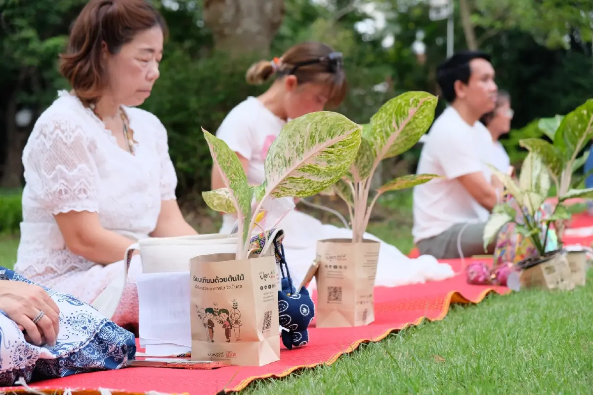 แจกต้นไม้ฟรี ที่ทำบุญวันมาฆบูชา 2569 เวียนเทียนต้นไม้ ลดโลกร้อน