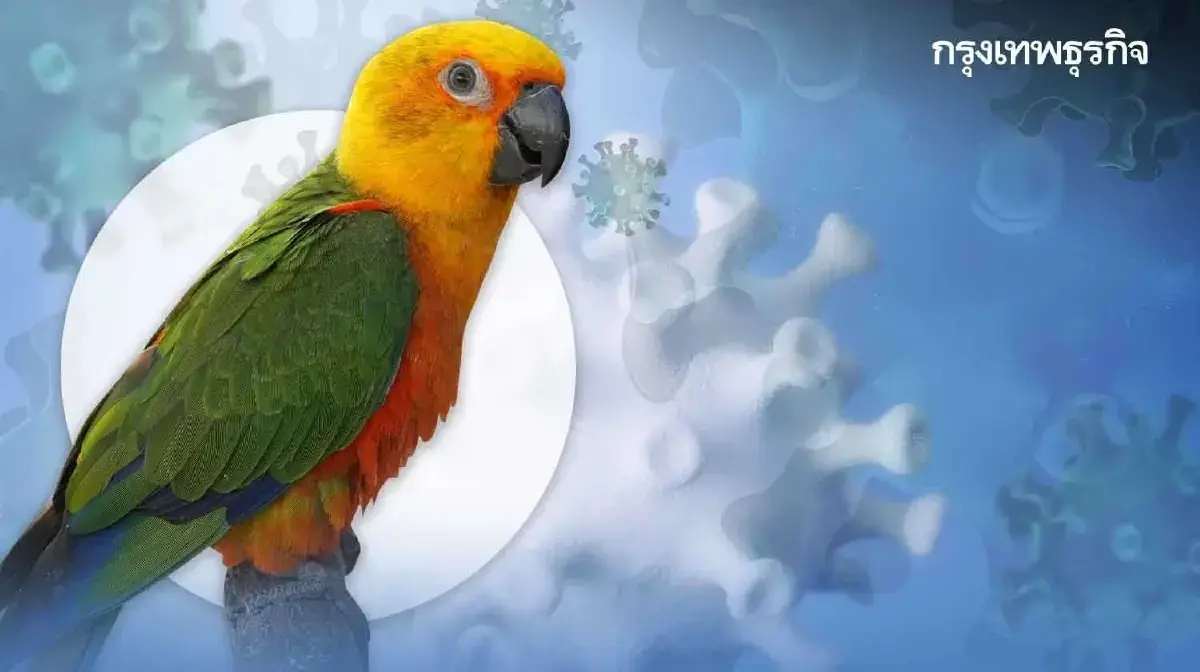 ยันไทยพบผู้ป่วย โรคไข้นกแก้ว รับเชื้อจากการเลี้ยงนก ที่อับอากาศ