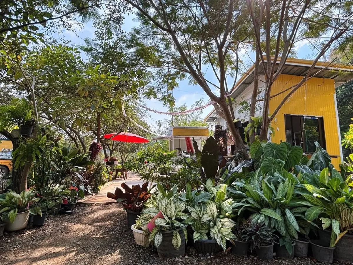 เปิดโมเดลธุรกิจเขาใหญ่ 2026 'วรรณลี ศรีจำปา' พลิกเกมรีสอร์ทล้น ปั้น Social Enterprise