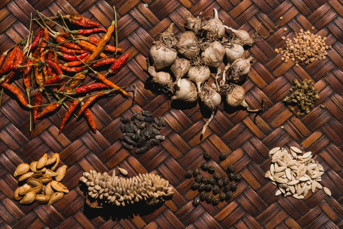 ชนเผ่ารุ่นใหม่ จุดกระแสสมองไหลกลับ ปั้นธุรกิจพากิน-พานอน แบบชาติพันธุ์