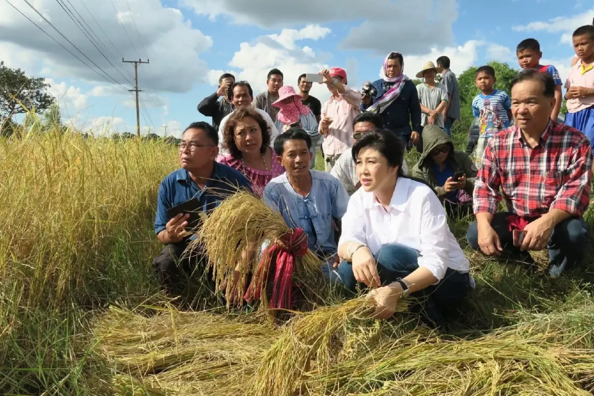 จุดตกต่ำ ‘พรรคตระกูลชิน’ จากแชมป์เลือกตั้ง ร่วง 'อันดับ 3'