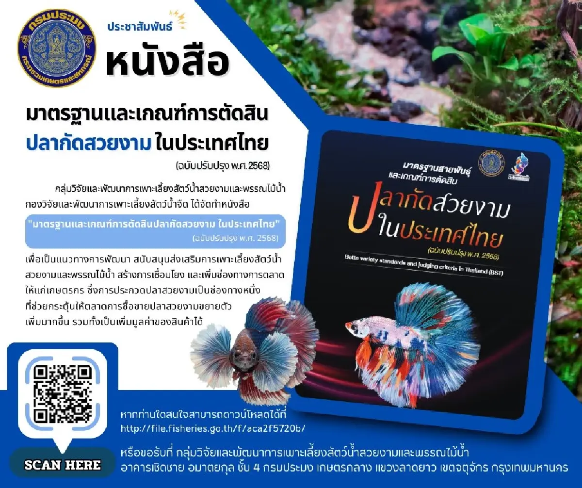 กรมประมงเปิดเกณฑ์ตัดสินใหม่ ยกระดับปลากัดไทยสู่เวทีโลก
