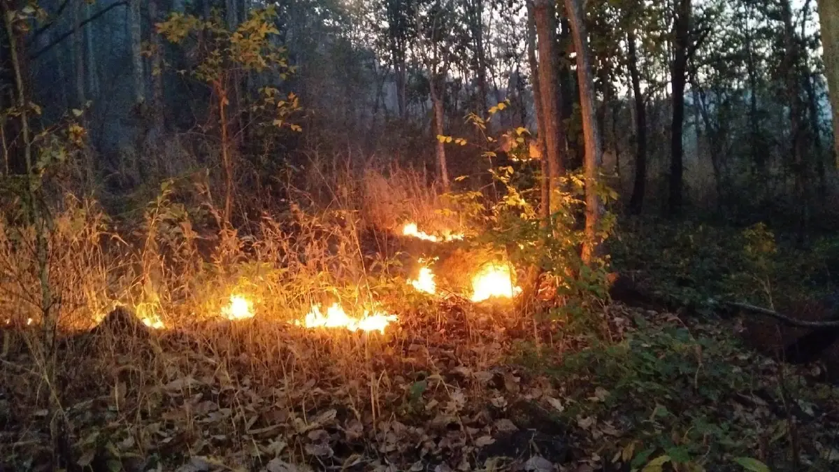 สบอ.14 ลาดตระเวนเข้ม 5 จังหวัดภาคเหนือ พบไฟป่า 11 จุด เสียหายรวม 79 ไร่