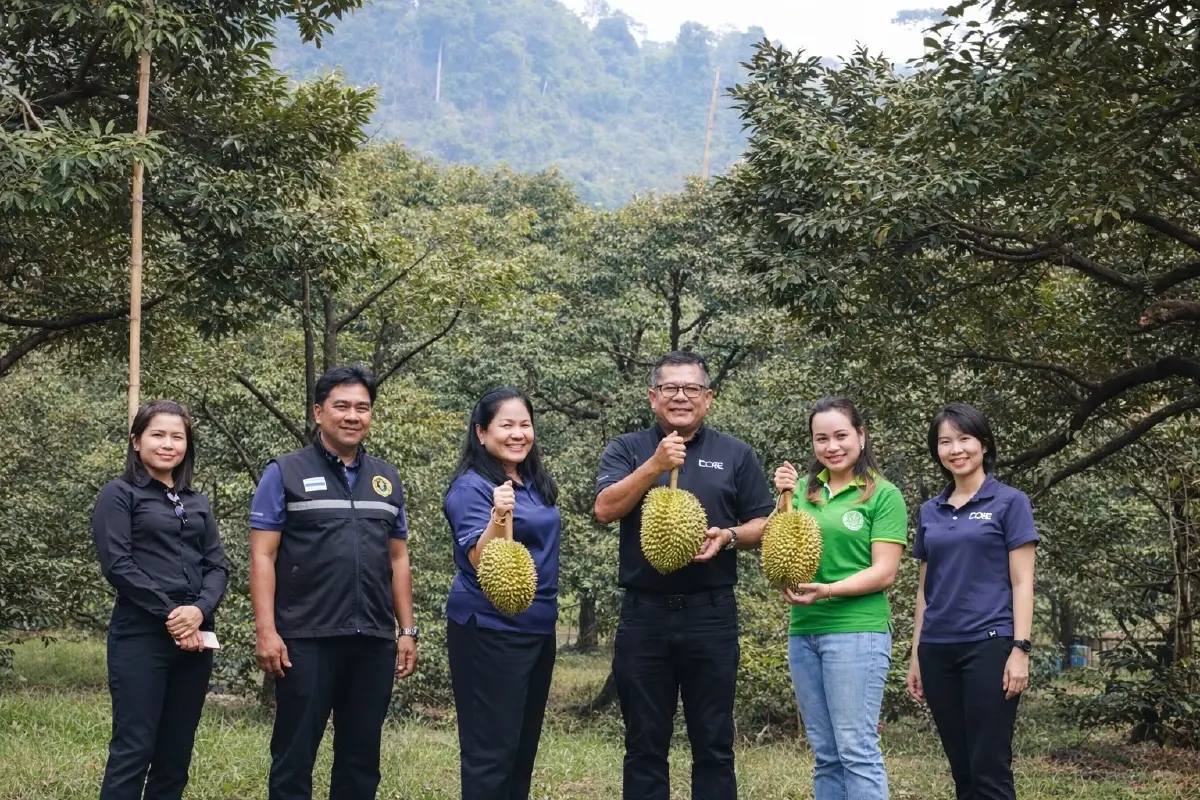 กรมส่งเสริมการเกษตร สั่งเข้มทุเรียน ตรวจก่อนตัด ดันส่งออก คาดผลิต 1.8 ล้านตัน