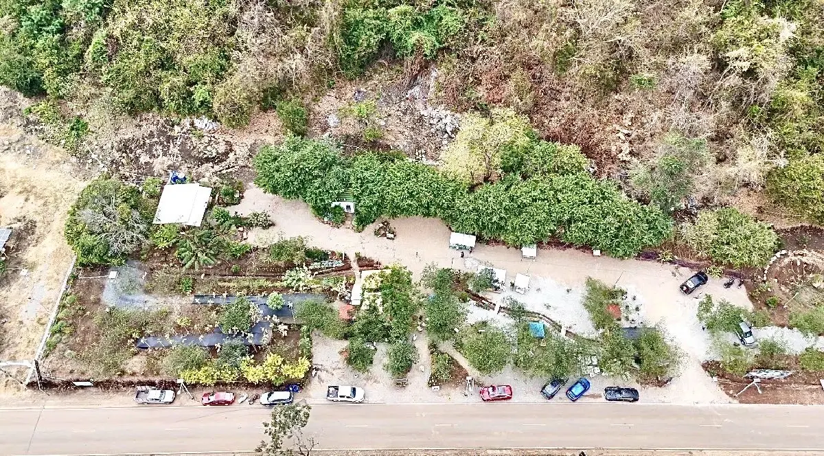 เปิดโมเดลธุรกิจเขาใหญ่ 2026 'วรรณลี ศรีจำปา' พลิกเกมรีสอร์ทล้น ปั้น Social Enterprise