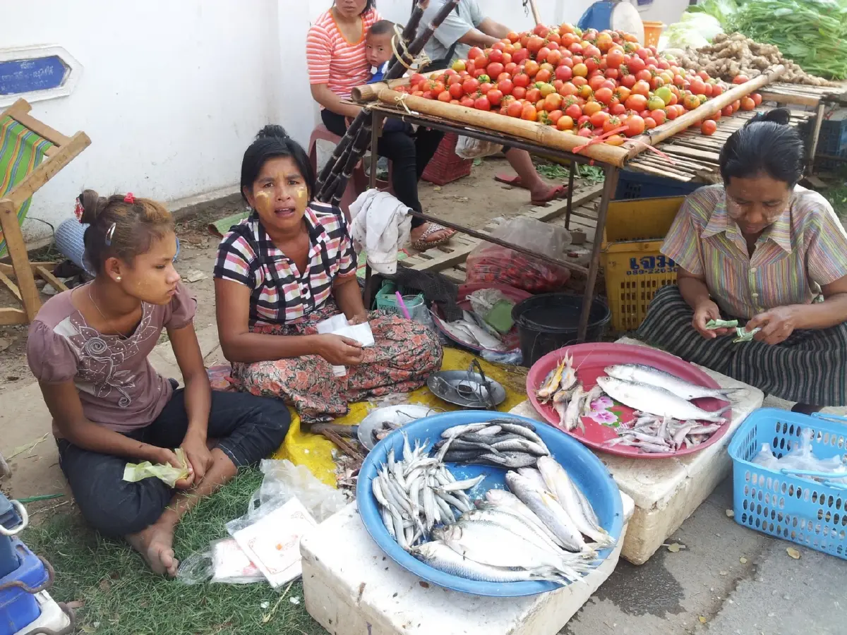 นานๆ ที ที่...แม่สอด