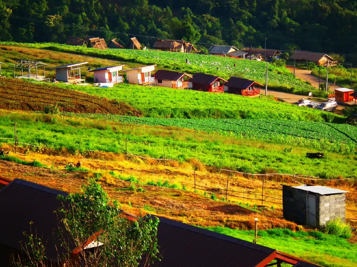 ภูทับเบิก...เมื่อก่อนเก่า