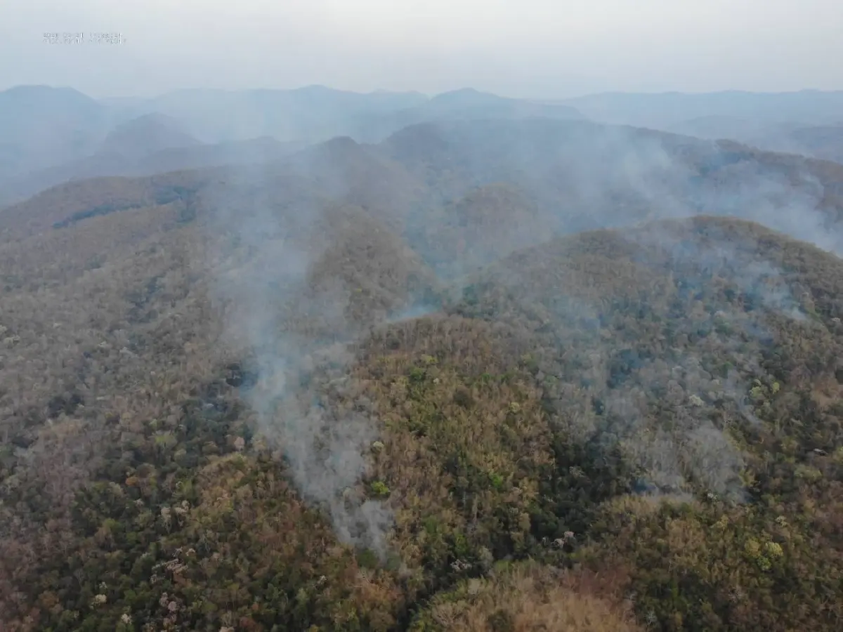 กรมอุทยานฯ สั่งเข้ม 14 กลุ่มป่าเหนือ-ตะวันตก เฝ้าระวังไฟป่า 2 พันจุด