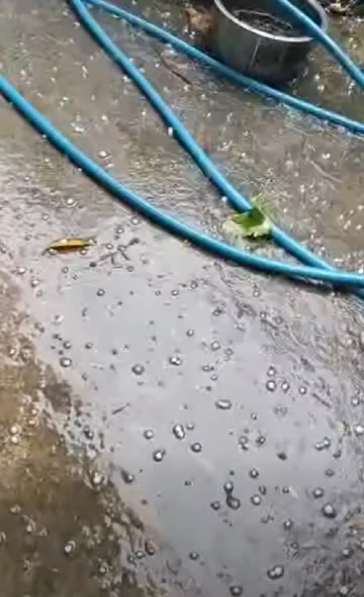 ด่วน! พายุฤดูร้อนแผลงฤทธิ์ ฝนตกหนักเชียงใหม่ ลูกเห็บถล่มแม่วาง