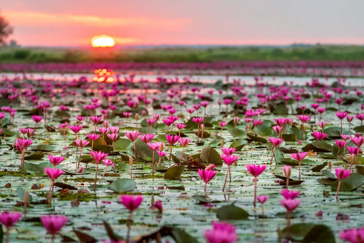 ‘สทท.’ ชี้ทางรอดธุรกิจท่องเที่ยวไทย!  ฝ่าเทรนด์ ‘เลือกเยอะ จ่ายยาก' ยกคุณภาพสู้