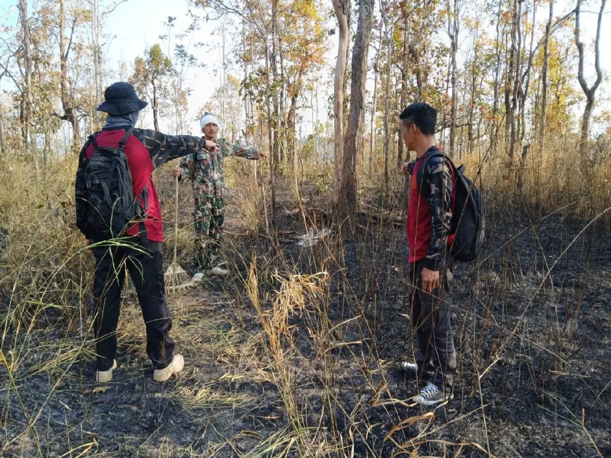 ภูผายลระอุ ไฟป่าถล่มวอด 7 ไร่ เผยต้นเหตุ 'หาของป่า' ทำพังพินาศ