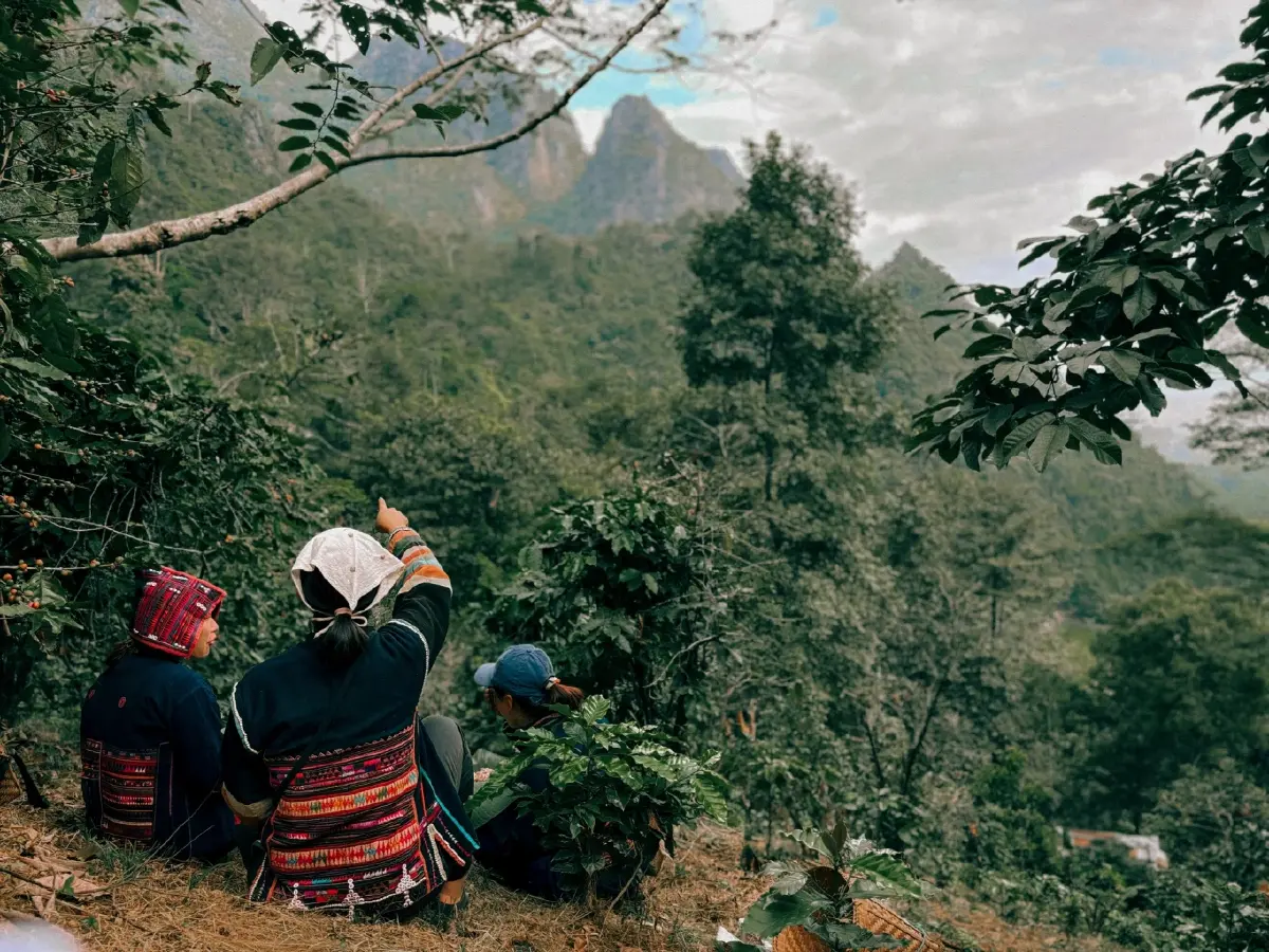 ชนเผ่ารุ่นใหม่ จุดกระแสสมองไหลกลับ ปั้นธุรกิจพากิน-พานอน แบบชาติพันธุ์