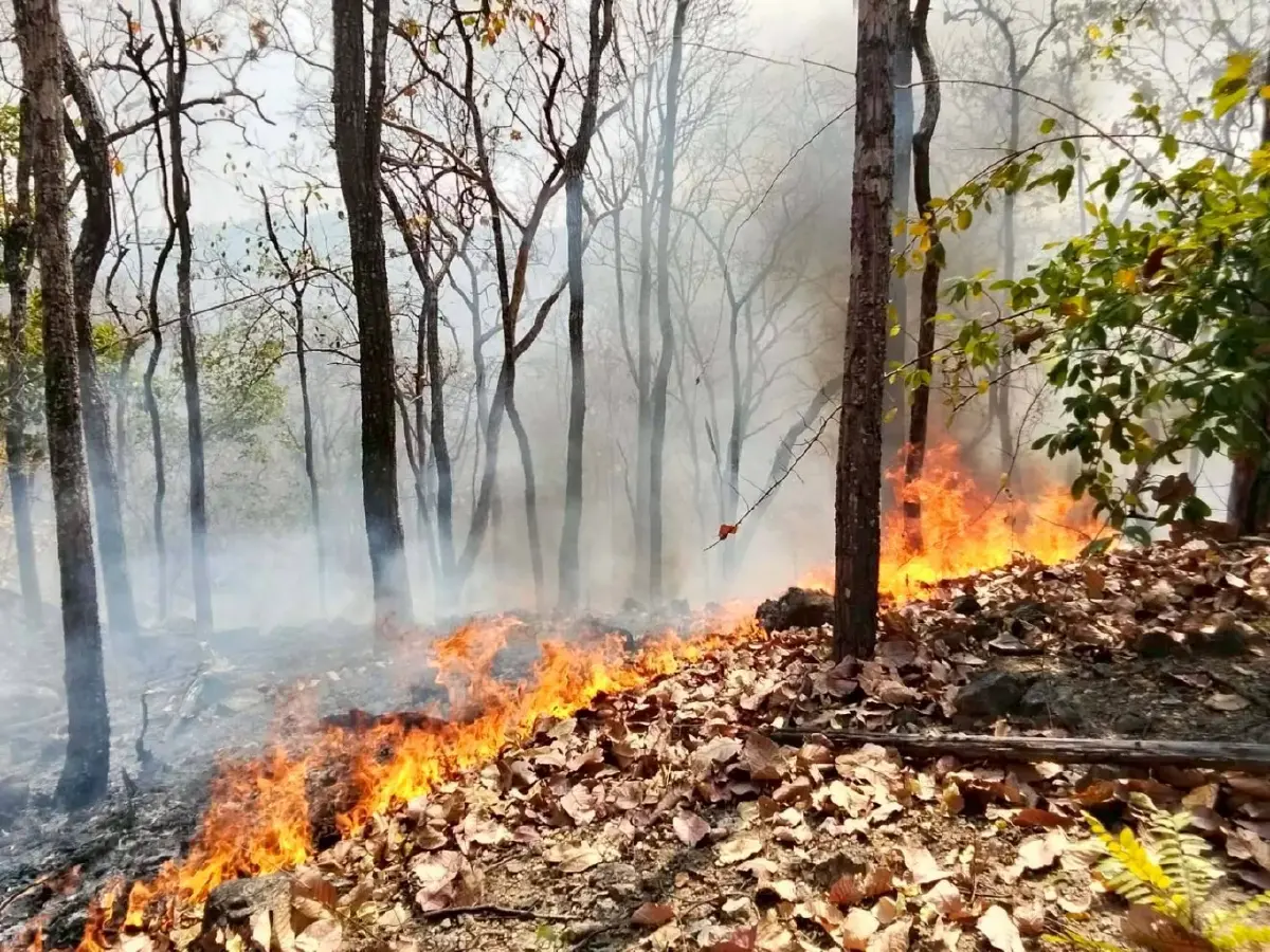 กรมอุทยานฯ คุมเข้ม 14 กลุ่มป่า ตรึง 3 พันจุดสกัดไฟ พร้อมยกระดับรับมือแล้งรุนแรง