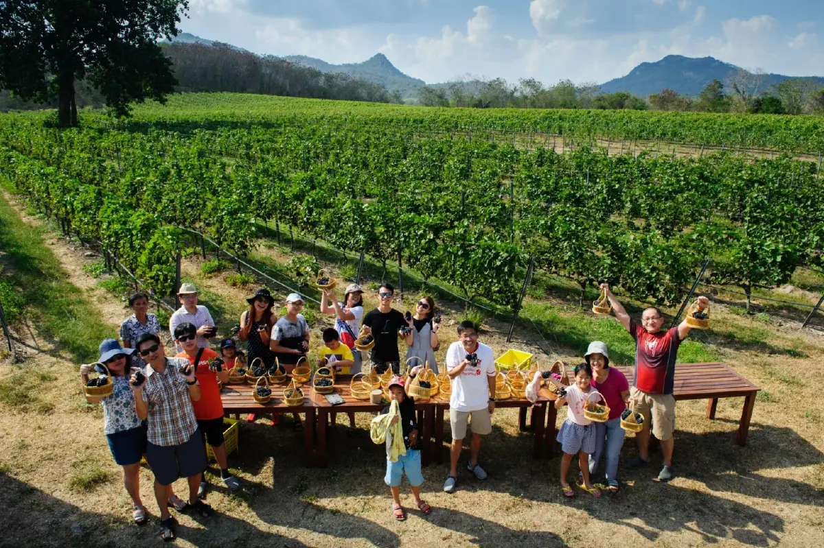 สัมผัสเสน่ห์เทศกาลเก็บเกี่ยวประจำปี! Monsoon Valley Harvest Festival 2026