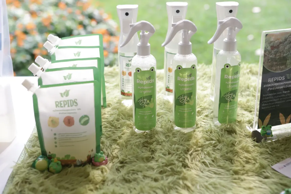 รู้จัก 'แพลตฟอร์มบ่มเพาะและเร่งรัดธุรกิจเพื่อสังคมแห่งประเทศไทย'