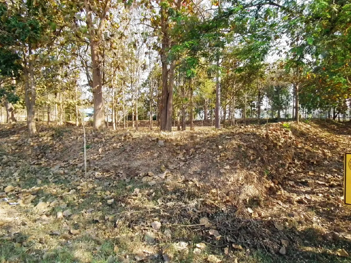 นานๆ ที ที่...แม่สอด