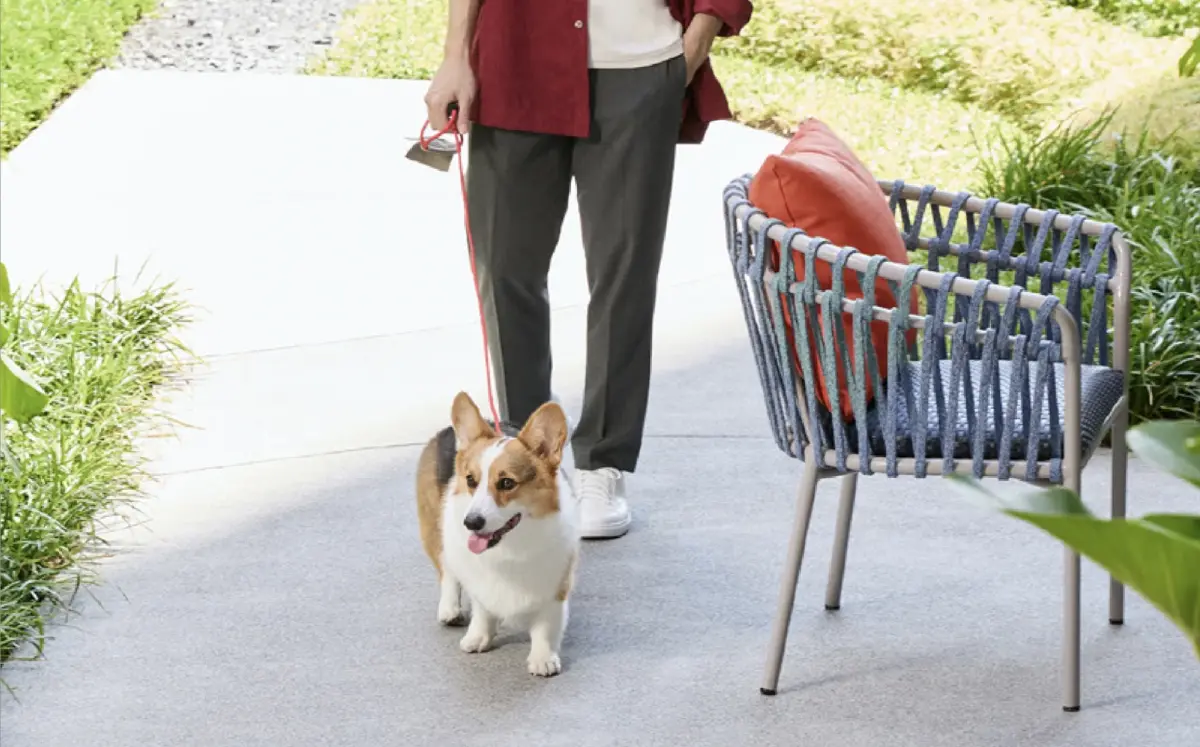 ฮิตาชิ เอลลิเวเตอร์ ประเทศไทย - แสนสิริ ชูลิฟต์อัจฉริยะ Pet-Friendly มาตรฐานแบรนด์ญี่ปุ่น