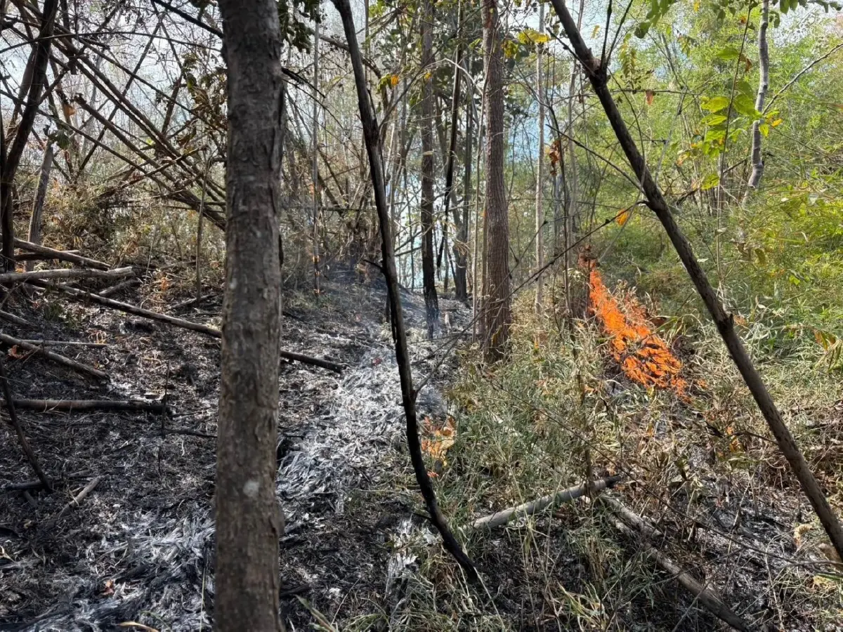 อช.เขาค้อ พบจุด Hotspot เร่งทำแนวกันไฟ คุมพื้นที่เสียหายกว่า 20 ไร่