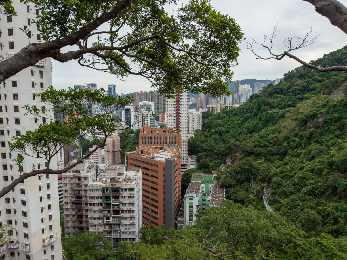 'Runcation' ที่ฮ่องกง เที่ยวไปวิ่งไป ชมวิวหลักล้านด้วยสองขา