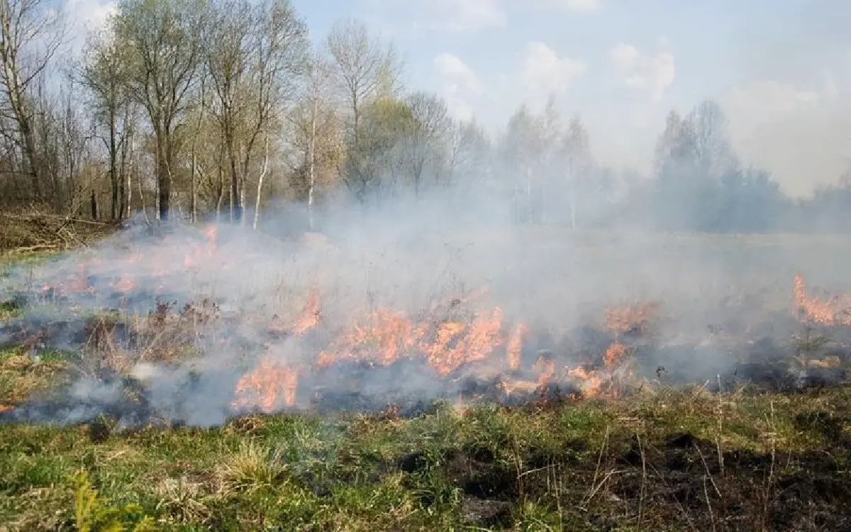 ปภ. เตือนหยุดพฤติกรรมเสี่ยง ห้ามเผาทุกชนิด ลดวิกฤตฝุ่น PM 2.5