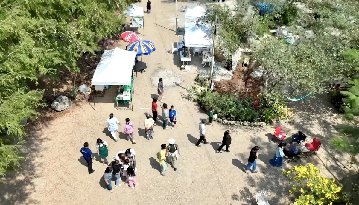 เปิดโมเดลธุรกิจเขาใหญ่ 2026 'วรรณลี ศรีจำปา' พลิกเกมรีสอร์ทล้น ปั้น Social Enterprise