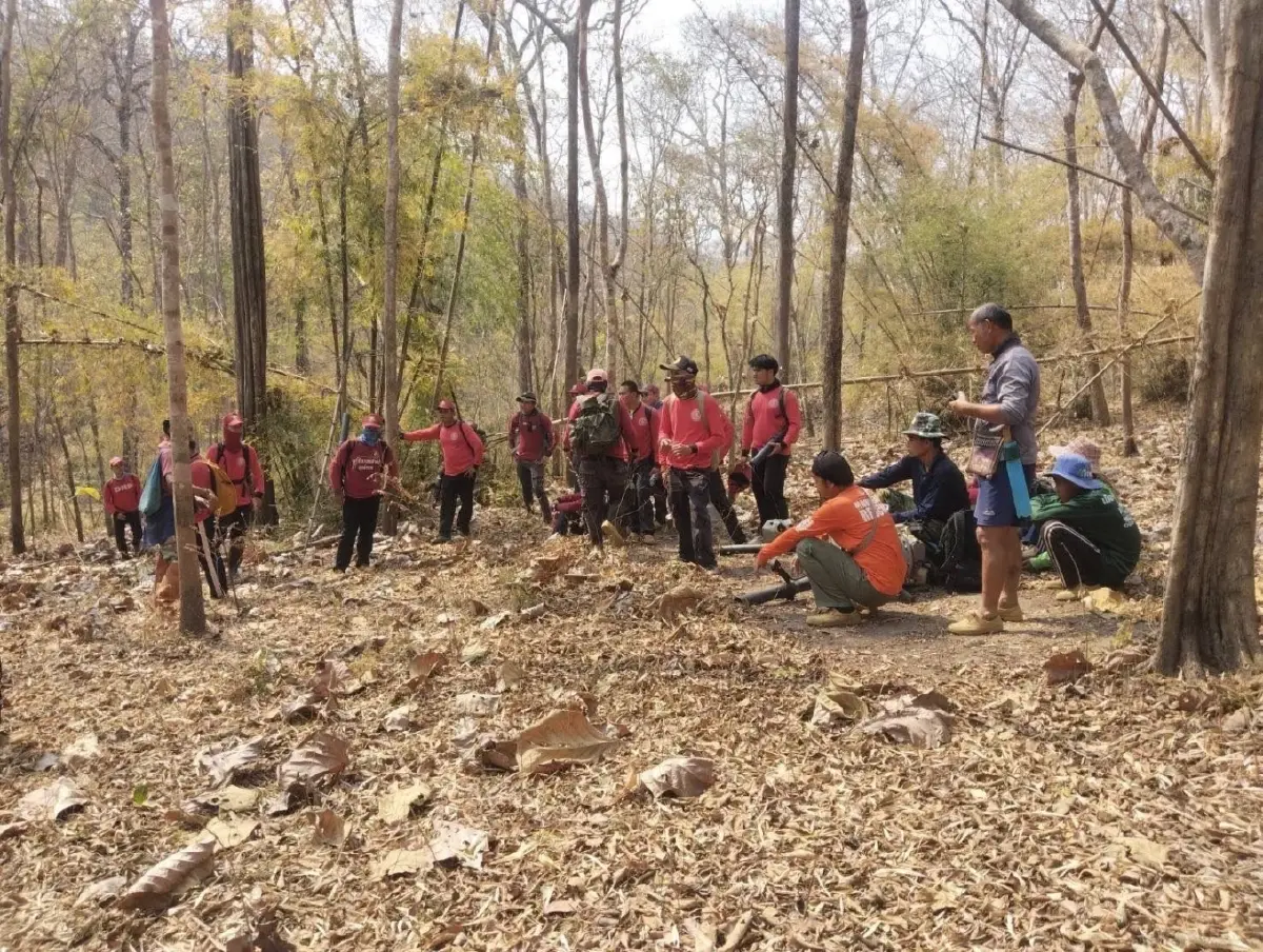 บทเรียนจากปาย: ไฟแปลงใหญ่ลดได้จากความร่วมใจท้องที่-ท้องถิ่น-ชุมชน