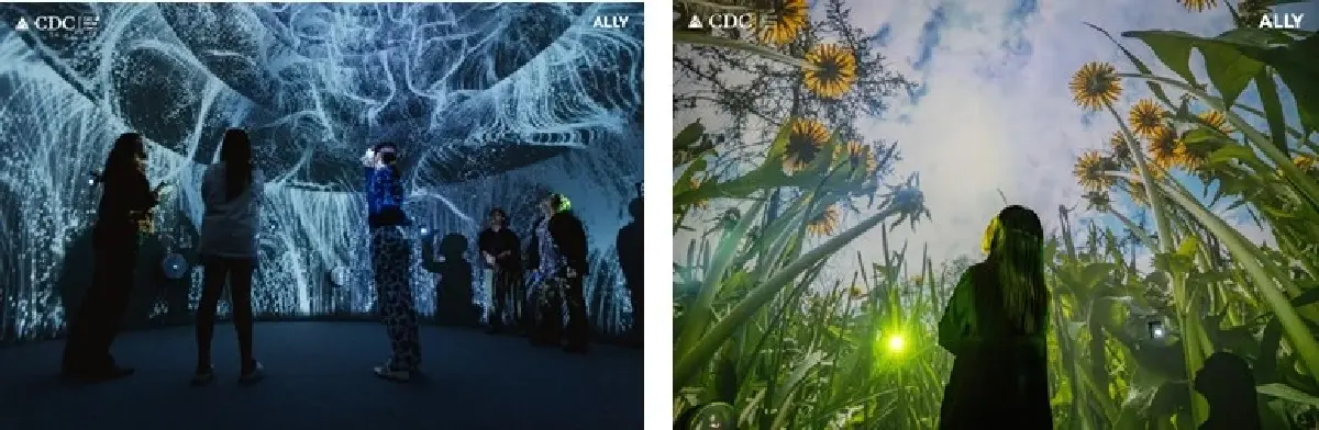 CDC ผนึก Bangkok Design Week 2026 เปิดพื้นที่ต้นแบบ Design Emergency : Breath of Longevity