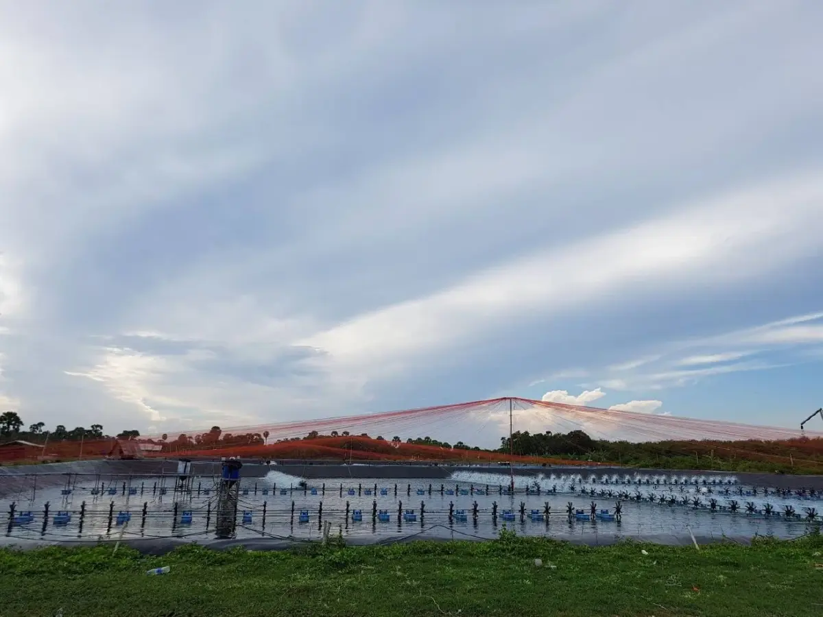 กรมประมง ชวนร่วมเลี้ยงกุ้งแม่นยำ ยกระดับสินค้าเกษตรมูลค่าสูง