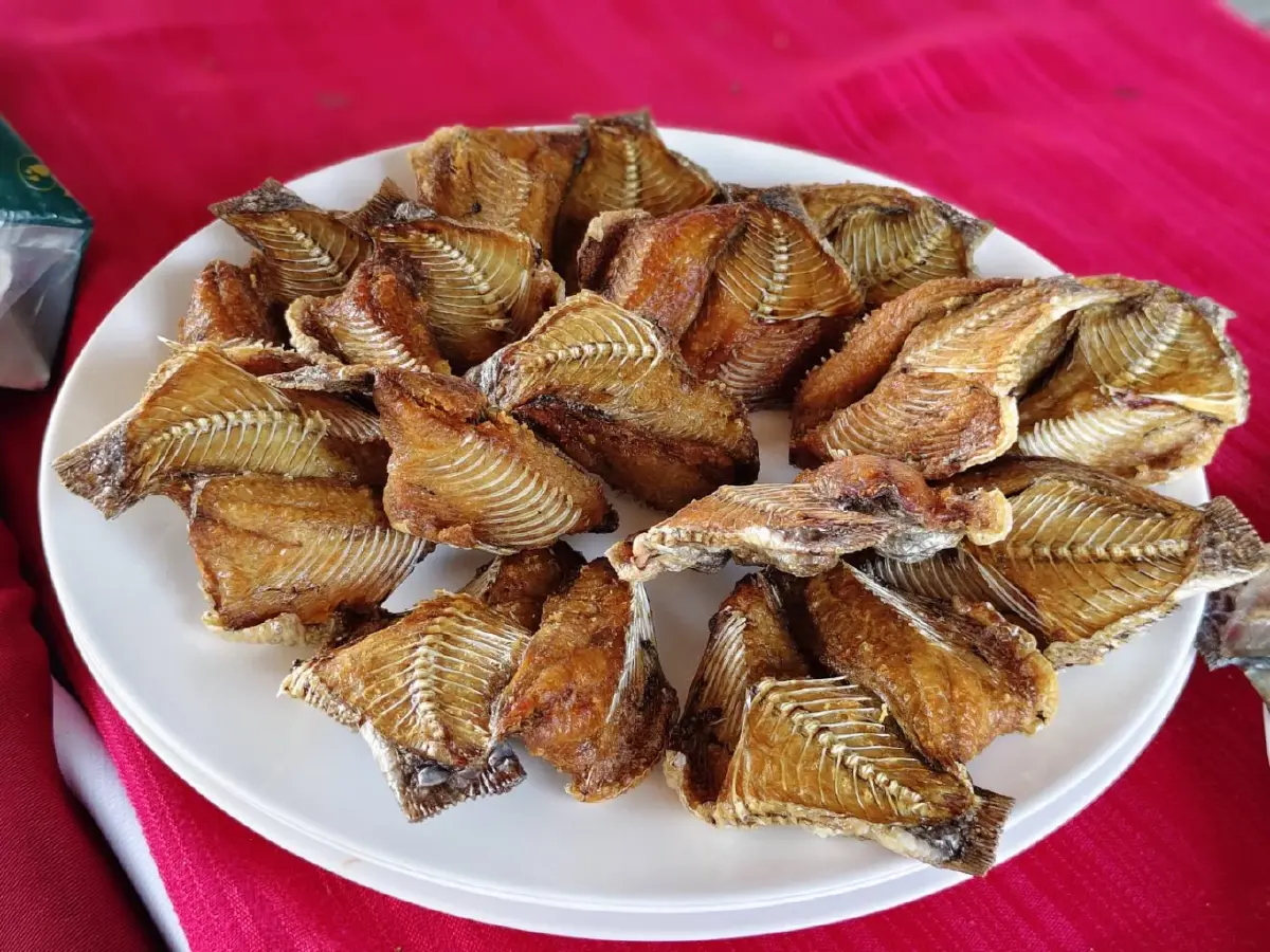 โมเดลชาวหัวไทร ใช้เศรษฐกิจนำ คุมประชากรปลาต่างถิ่นเห็นผลจริง