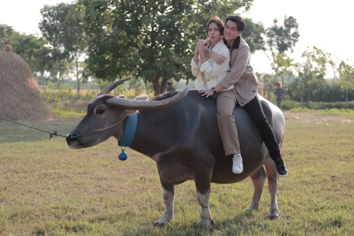 ช่อง 7HD เดินเกมรุกปล่อยเฟิร์สรัน 4 เรื่องแรก เรตติงปังทุกเรื่อง