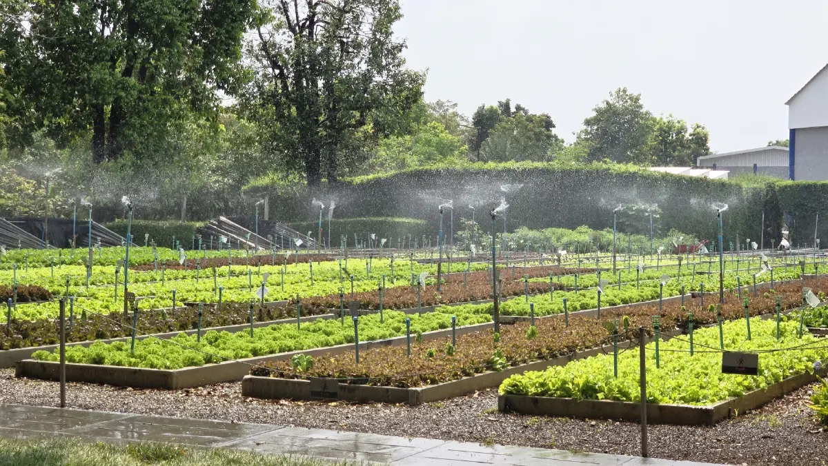 ผจญภัยท้าทาย 1,100 กิโลเมตร เชียงราย-อยุธยา กับ BYD SEAL 5 DM-i SUPER PHEV