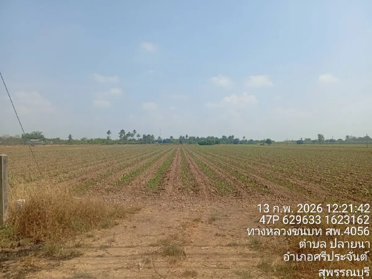 สศก. ชูระบบ อินาฮอร์ ตามปลูกข้าวแม่นยำเสริมความมั่นคงอาหาร