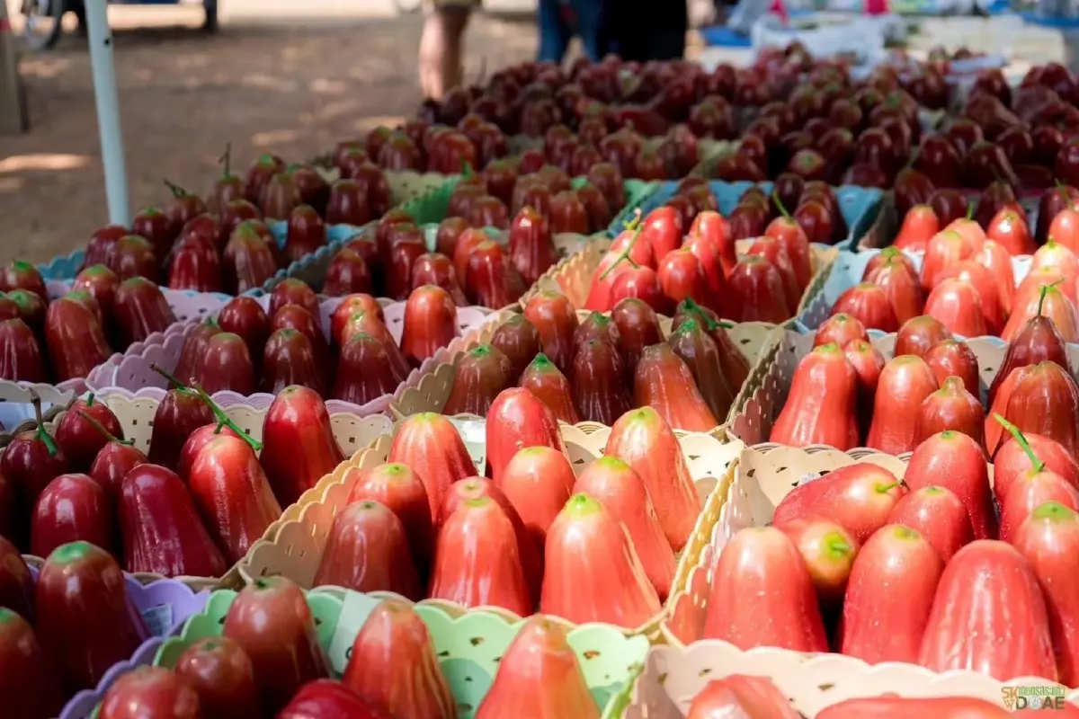 พาณิชย์ ประกาศขึ้นทะเบียน “ชมพู่คลองหาด” จ.สระแก้ว เป็นสินค้า GI