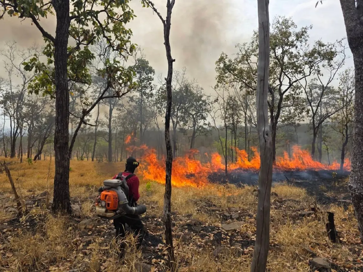 ไฟป่าสระแก้ว-บุรีรัมย์ วอด 20 ไร่! คาดเผาหาของป่า จนท.คุมเข้ม