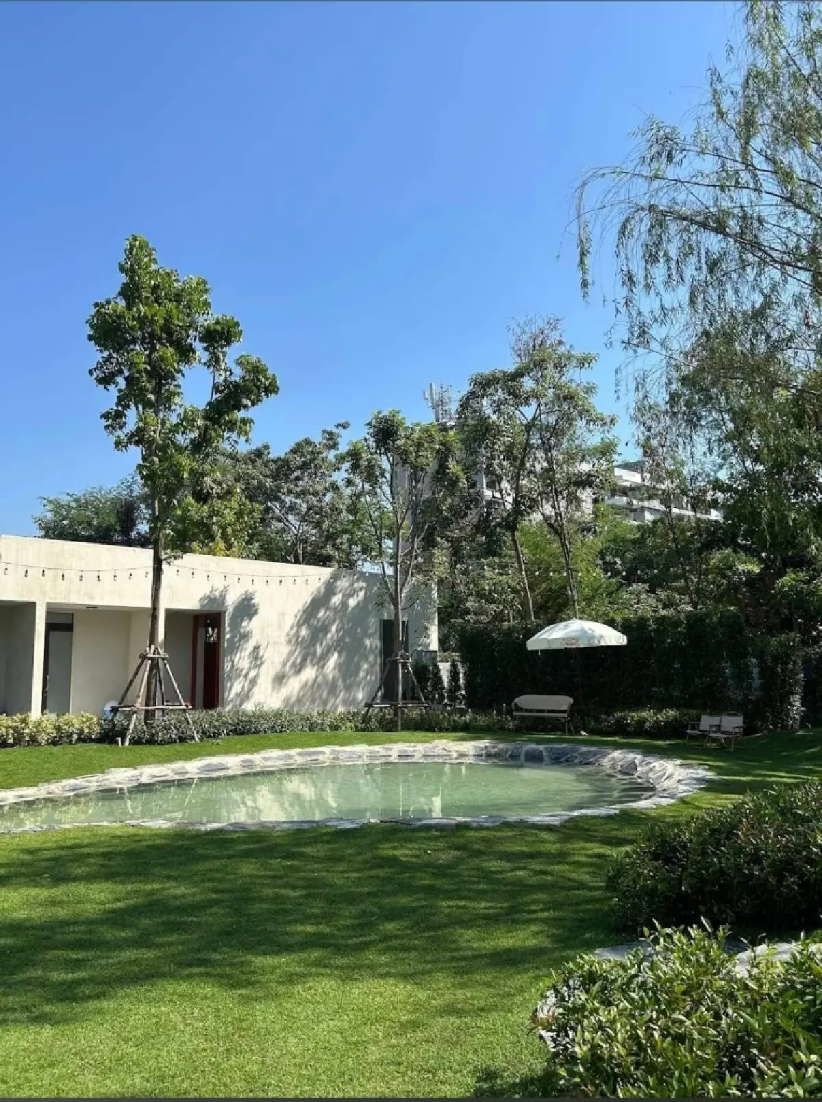 'ฮุนด์เฮ้าส์' คลับไฮโซของน้องหมาเปิดใหม่ ค่าสมาชิกปีละแสนสอง!