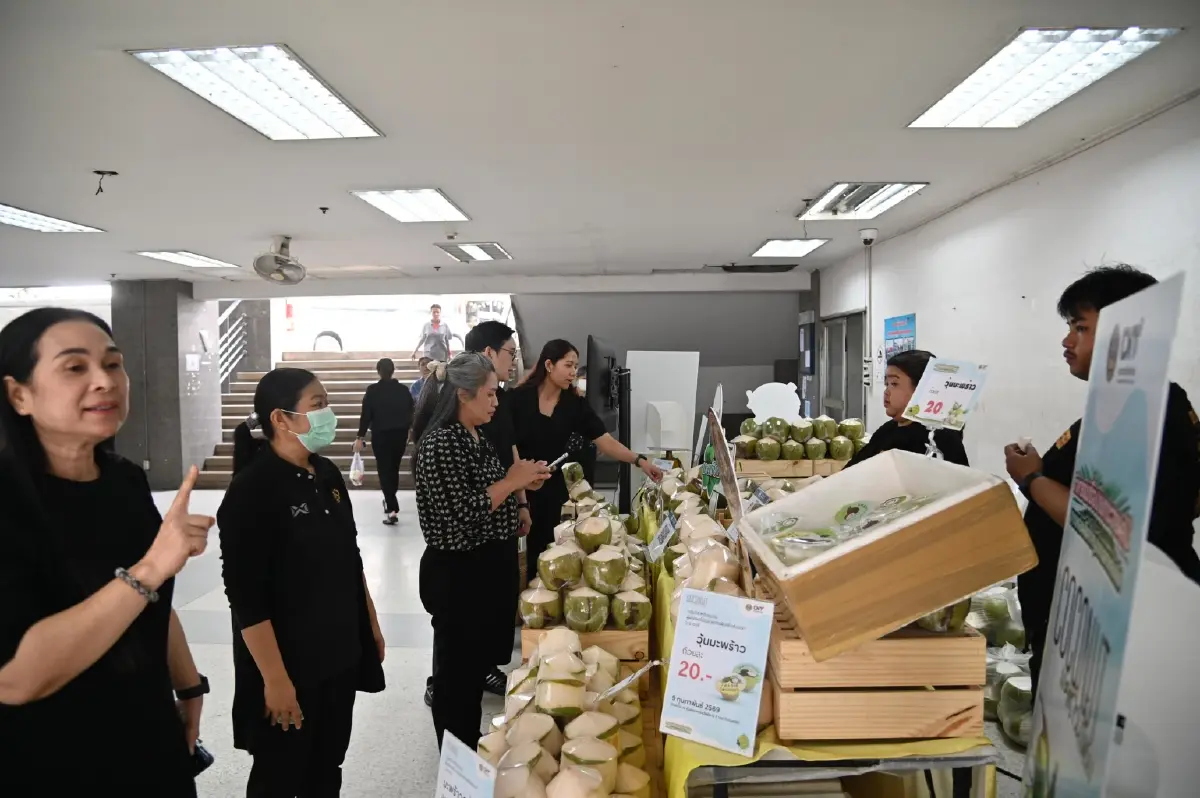 กรมการค้าภายในเร่งดูดซับมะพร้าวน้ำหอม กลาง-ใต้   กระจายทั่วประเทศ รักษาเสถียรภาพราคา