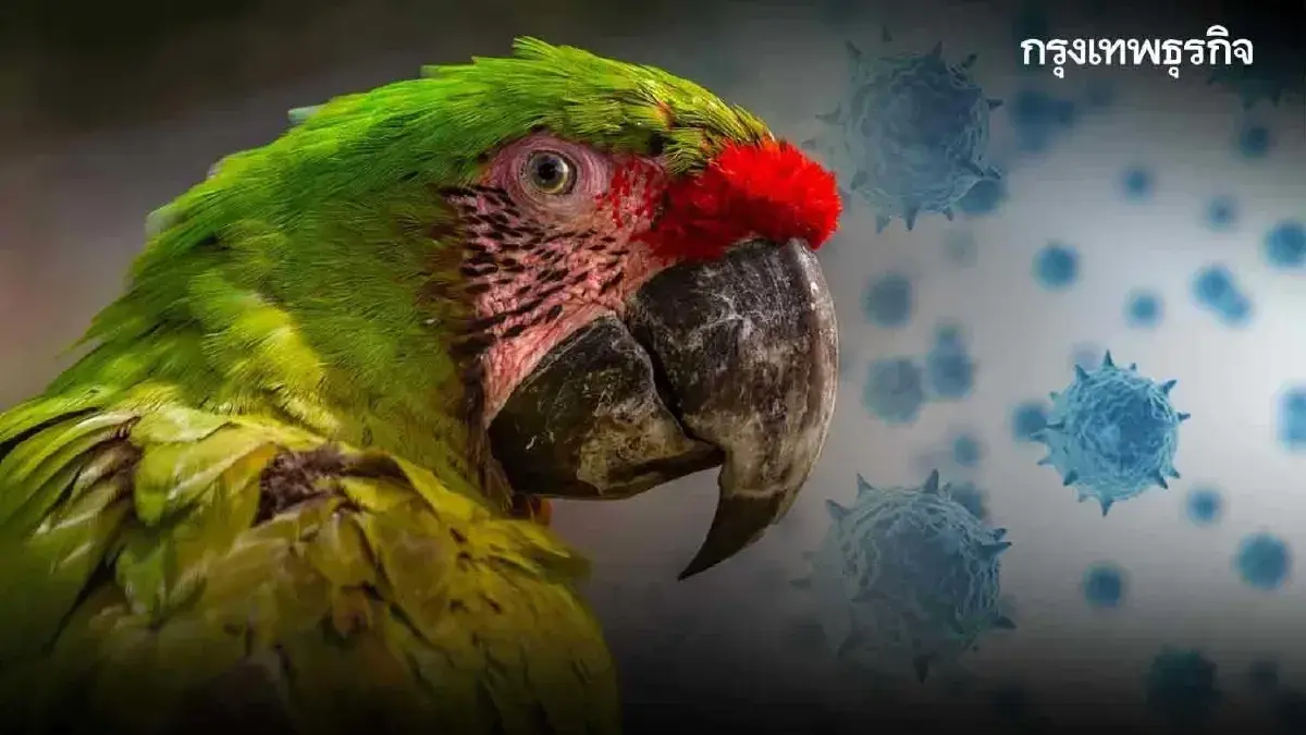 ยันไทยพบผู้ป่วย โรคไข้นกแก้ว รับเชื้อจากการเลี้ยงนก ที่อับอากาศ