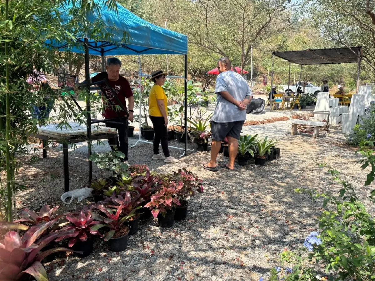 เปิดโมเดลธุรกิจเขาใหญ่ 2026 'วรรณลี ศรีจำปา' พลิกเกมรีสอร์ทล้น ปั้น Social Enterprise