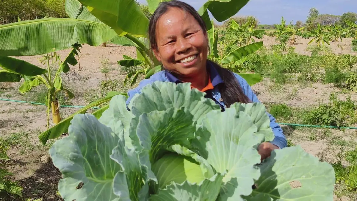 สศก. กางแผนพัฒนาเกษตรอินทรีย์ รุกมาตรฐานเจาะตลาดพรีเมี่ยม