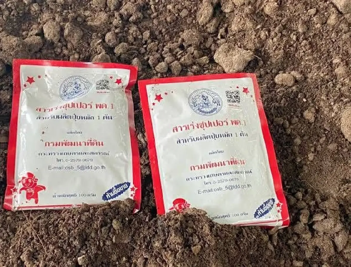 พด. หนุนไถกลบทำปุ๋ยหมักแทนการเผา ลดฝุ่น ลดต้นทุน สร้างอากาศสะอาด