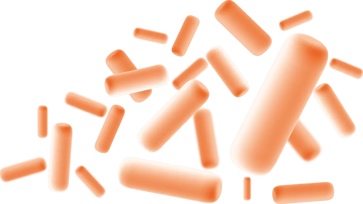 รู้จัก 'โพรไบโอติก L34' วิจัยแพทย์ จุฬาฯ ลดสารพิษ-อักเสบ สู้โรคไต