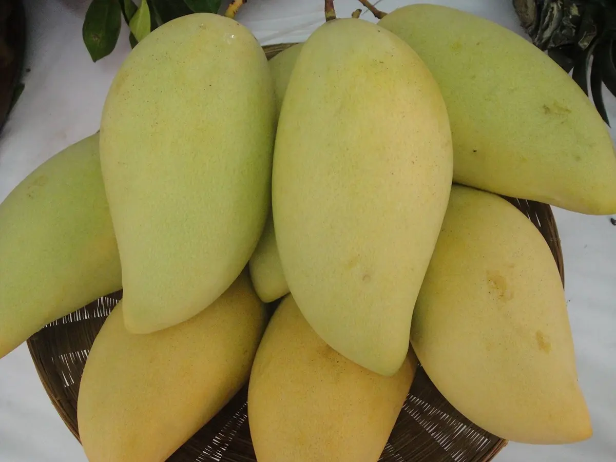 กรมวิชาการเกษตร บุกเกาหลีใต้ ถกอุปสรรคทางการค้า ขยายตลาดผลไม้เมืองร้อน