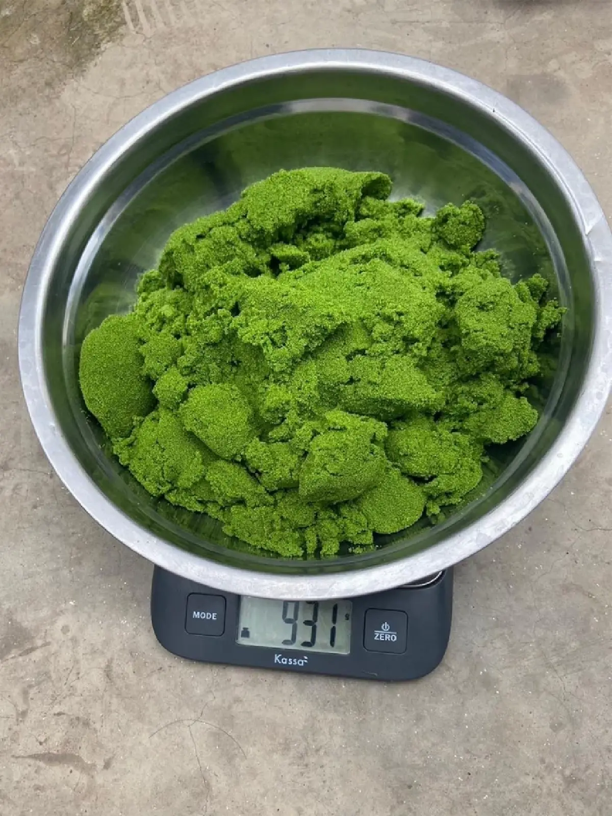 กรมวิชาการเกษตร ลุย ถ่ายทอดเทคโนโลยีผลิต “ผำ”ดันพืชโปรตีนอนาคตบุกตลาดโลก