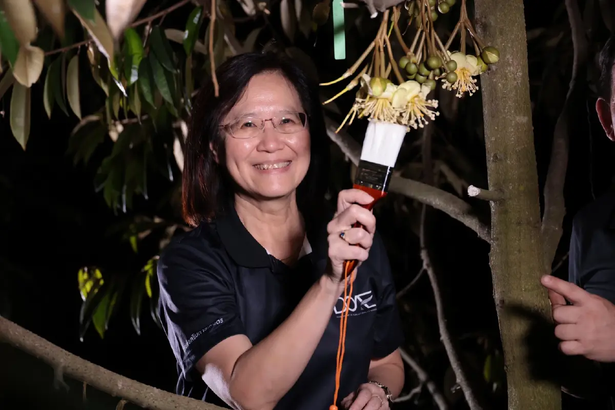 เกษตรจัด “เปิดสวน ชวนปัดดอก” ทุเรียนนนท์ปี 69 ยกระดับคุณภาพ