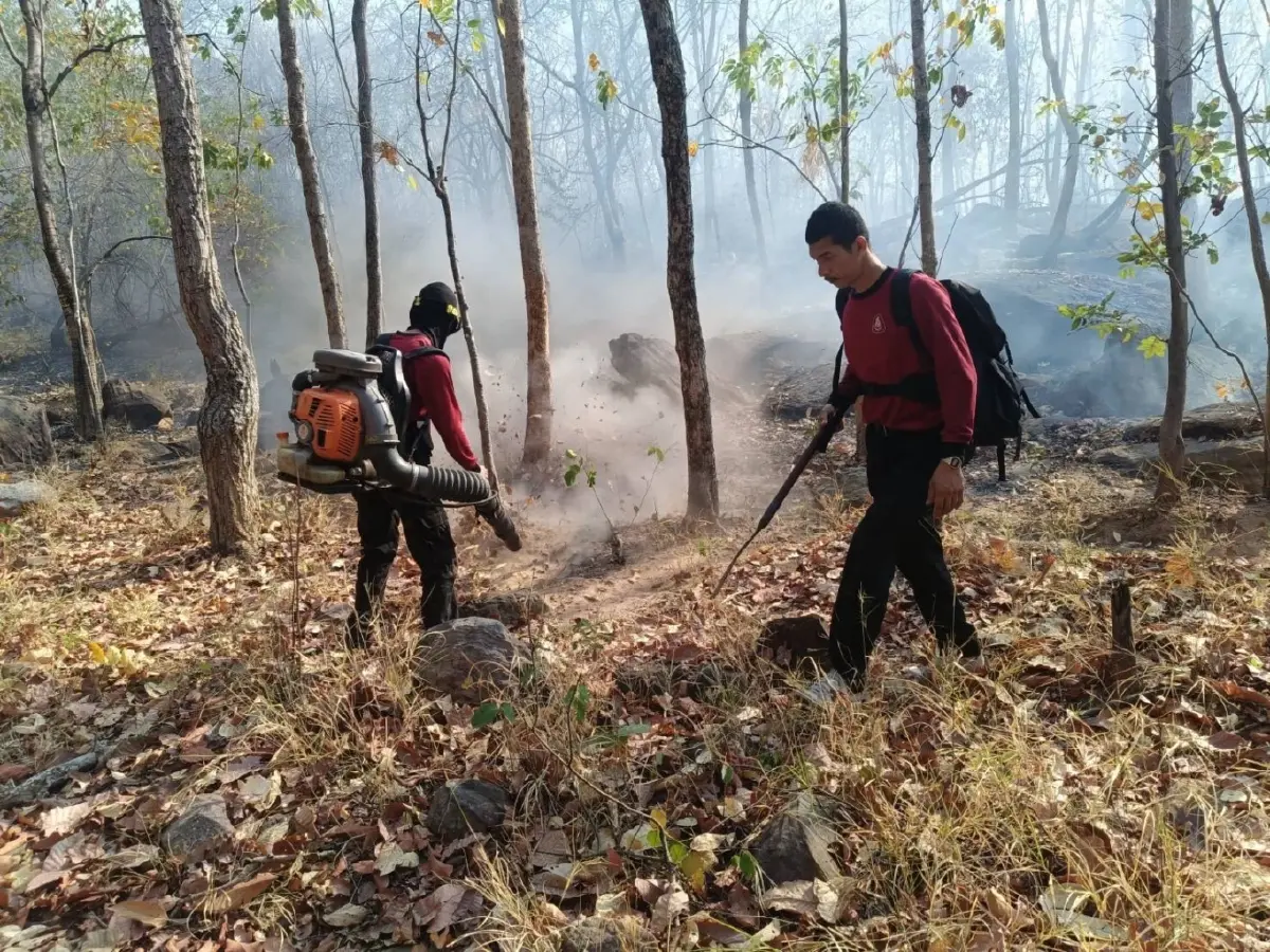 'เสือไฟ' ผนึก 'เหยี่ยวไฟ" ลุยไฟป่าชัยภูมิ 5 จุดรวด! ปกป้องป่าอนุรักษ์