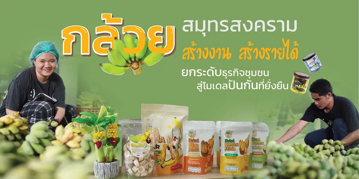 โมเดลปันกัน 'กล้วยสมุทรสงคราม' สร้างงาน สร้างรายได้ชุมชนยั่งยืน